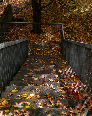 Stairway to Autumn