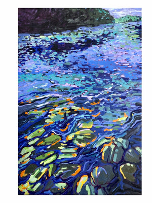 Water Lilly Migration