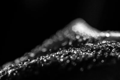 Sparkly Silhouette