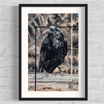 Raven
