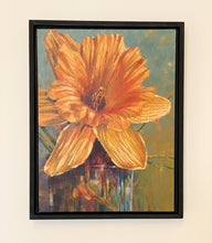 Load image into Gallery viewer, Letting the sun touch her curved corolla and gauzy petals
