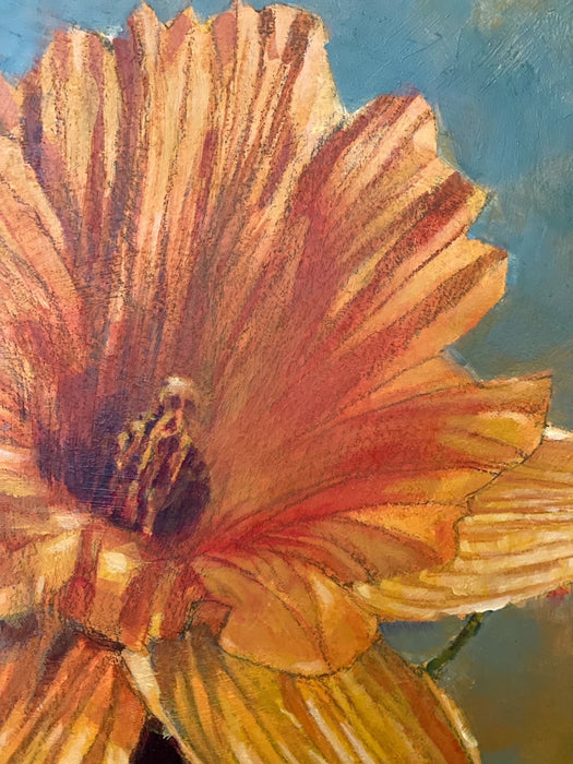Letting the sun touch her curved corolla and gauzy petals