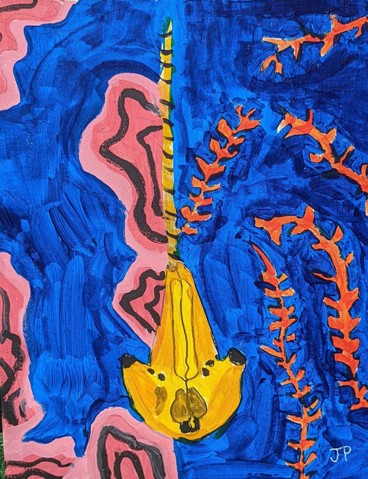 Narwhal Skull, and Coral