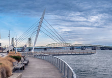 Load image into Gallery viewer, Grant Street Pier
