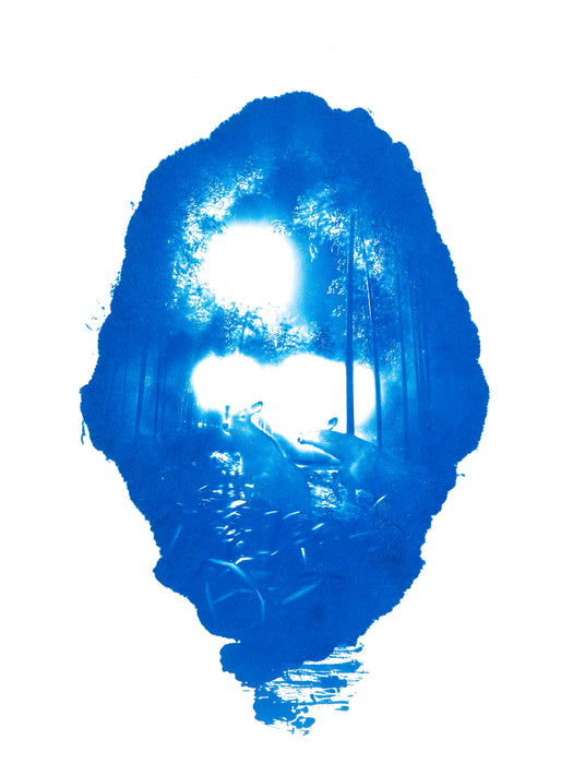 Tsushima Cyanotype No. 99