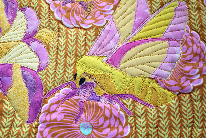 Rosy Maple Moth