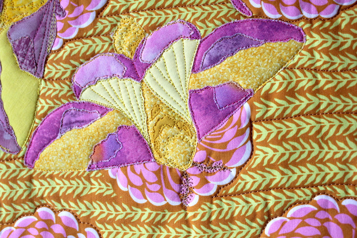 Rosy Maple Moth