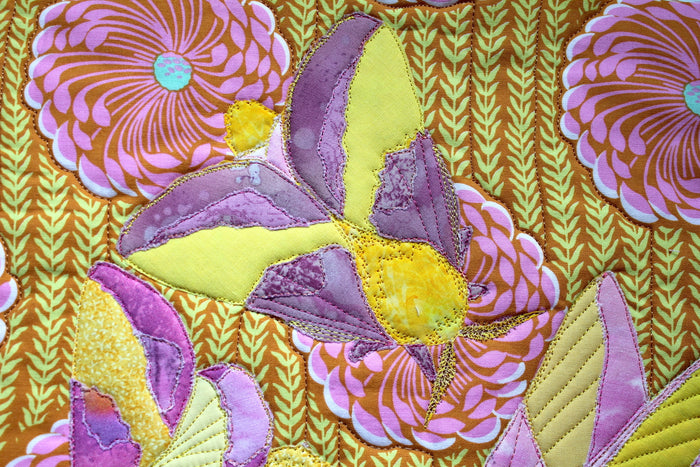 Rosy Maple Moth