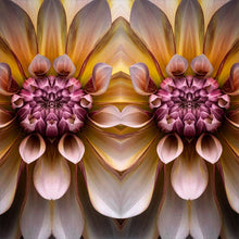 Load image into Gallery viewer, Two Dahlias
