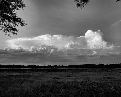 Sterlington Field