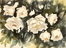 Load image into Gallery viewer, White Roses
