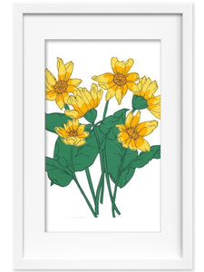 Wild Balsamroot