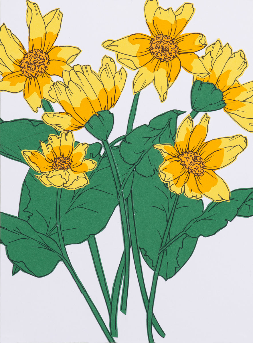 Wild Balsamroot