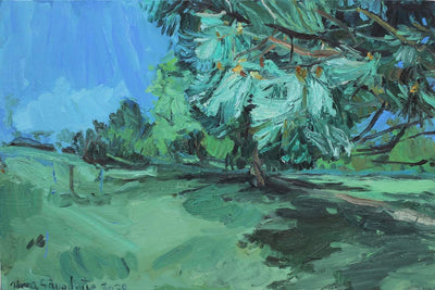 Trees and Shadows